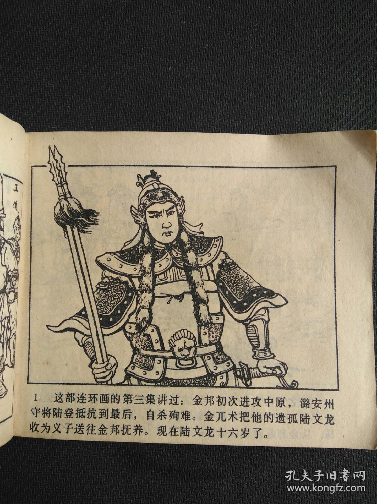 双枪陆文龙(岳传之十三)