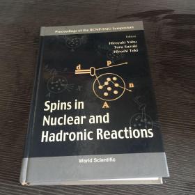 SPinS in NUClear and Hadr0niC Reactions