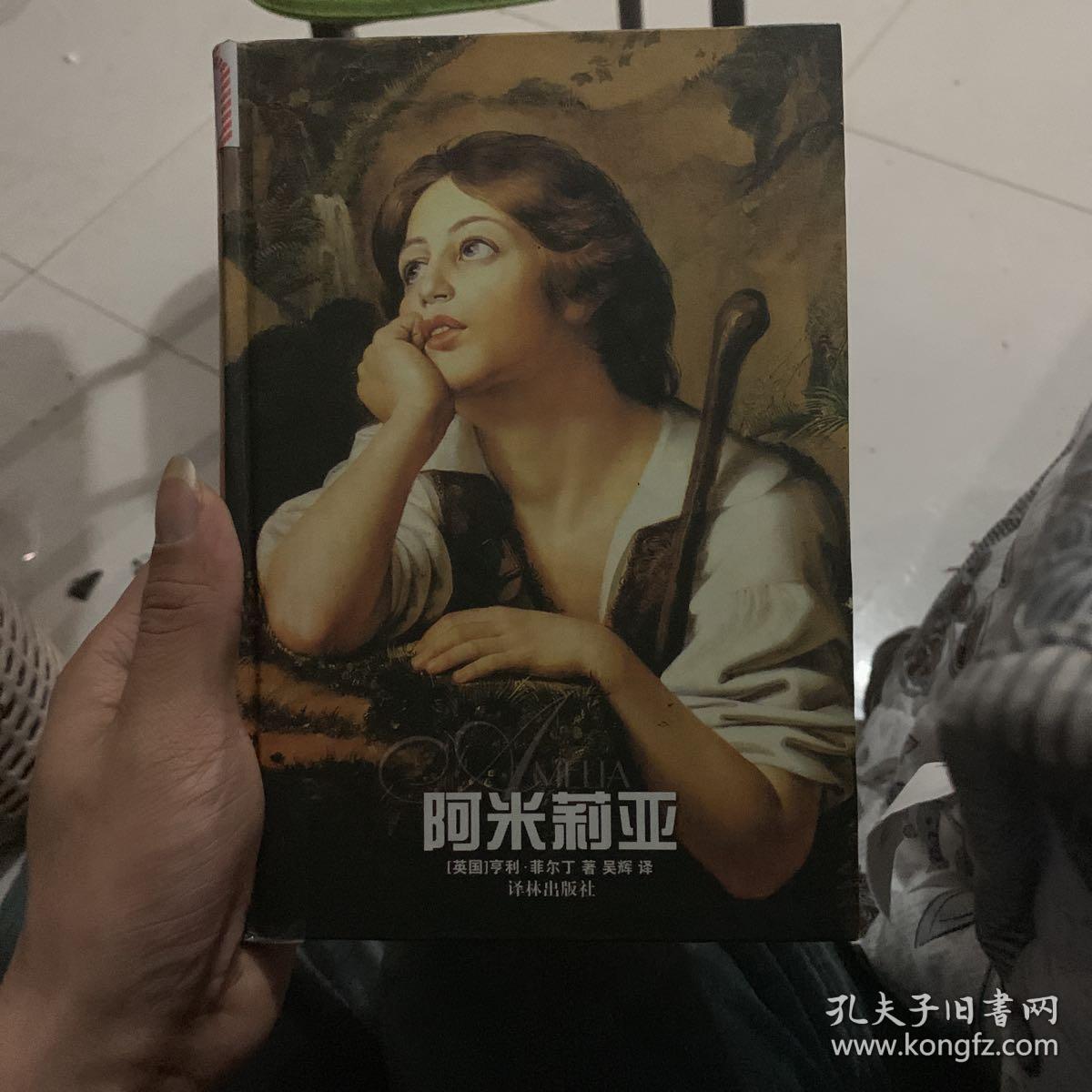 阿米莉亚(亨利·菲尔丁)_简介_价格_小说书籍_孔网