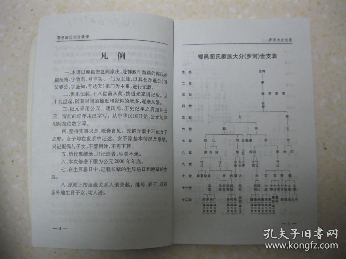 鄂邑阎氏大分族谱(鄂邑阎氏族谱 罗河大分支系.湖北省乡宁县一带.