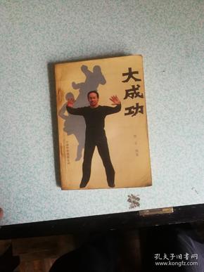 大成拳 包邮