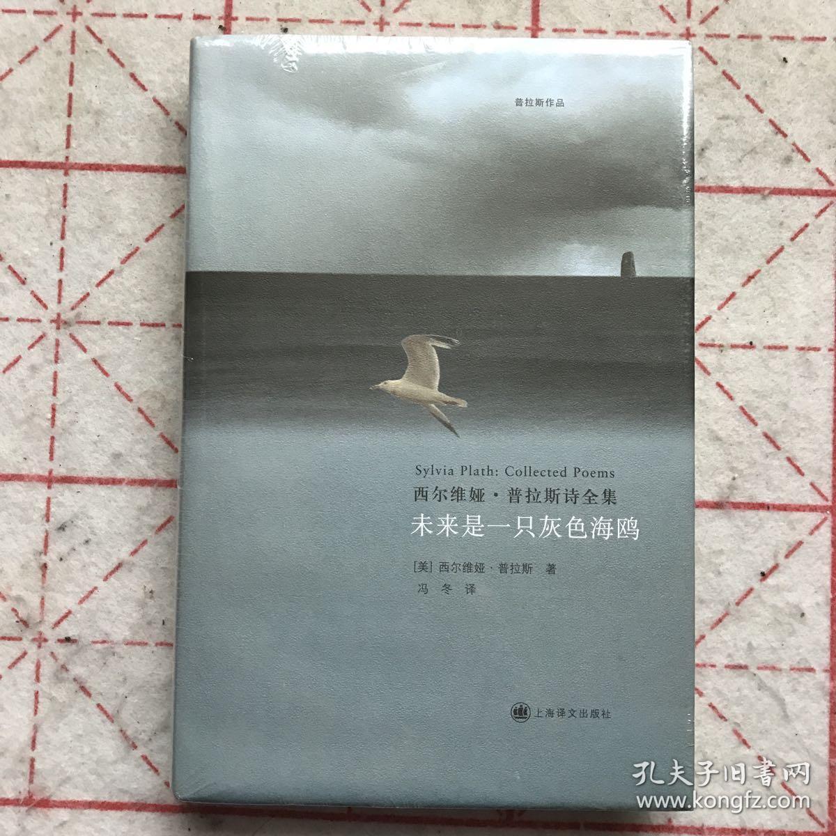 未来是一只灰色海鸥:西尔维娅·普拉斯诗全集