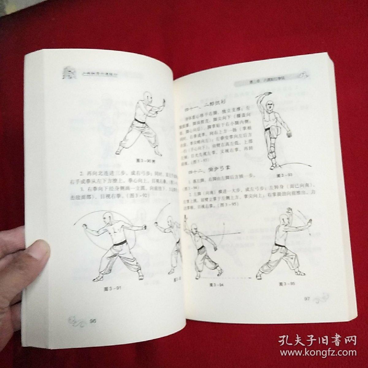 少林秘传六通短打