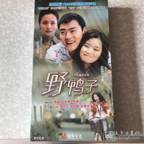 电视连续剧野鸭子10碟装dvd 未拆封