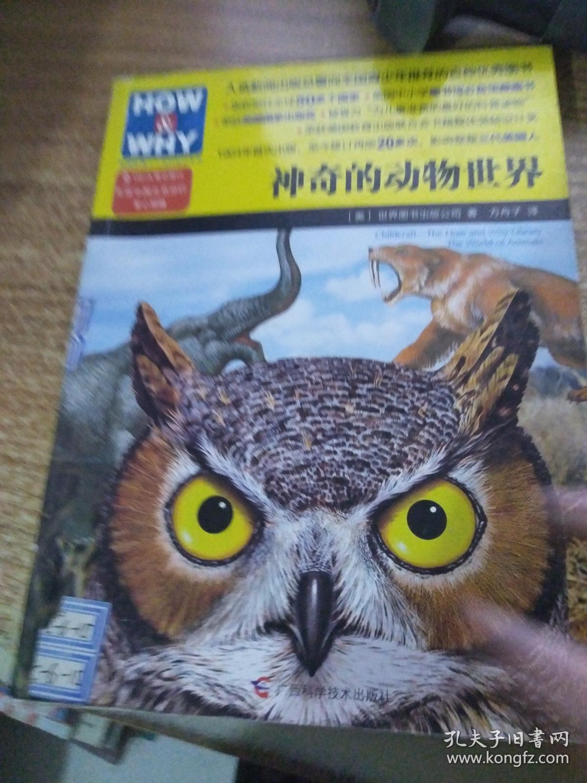 神奇的动物世界