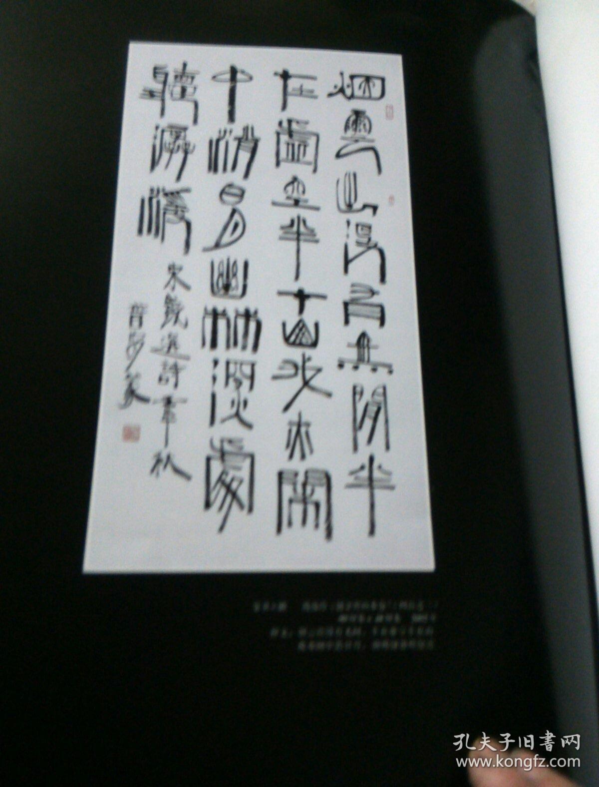 真水无香敖普安书法篆刻作品集