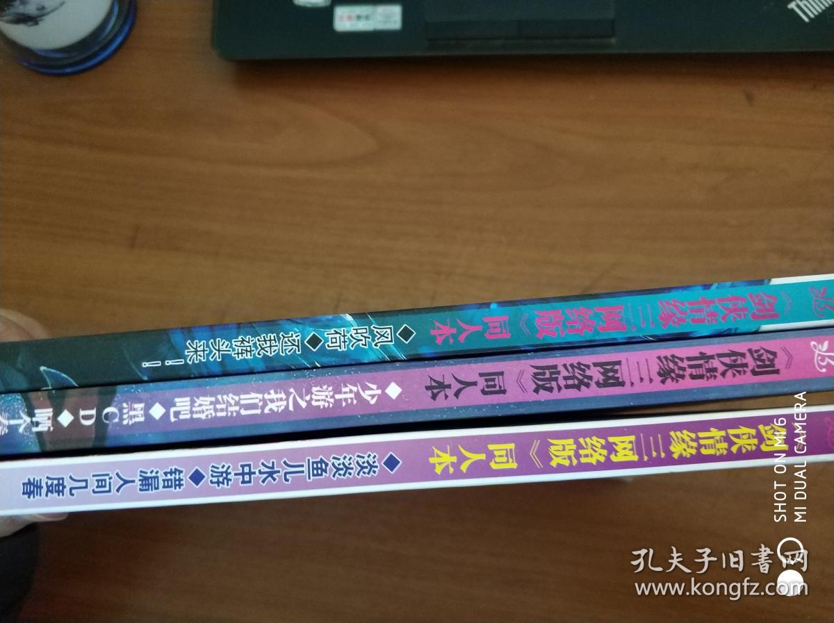 剑侠情缘三网络版同人画集:风吹荷,少年游,淡淡