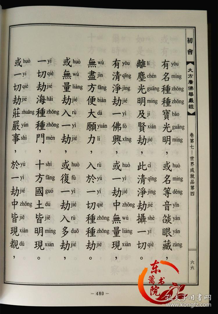 大方广佛华严经 华严经 拼音版 10册 16开精装 繁体竖排 全新正版 带
