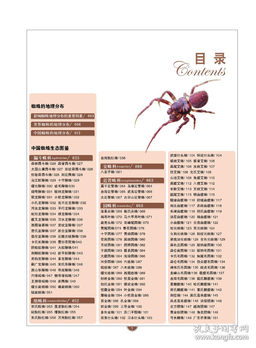 中国蜘蛛生态大图鉴