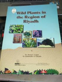 wild plants in the Region of Riyadh