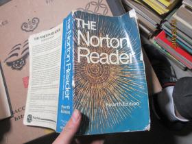 THE NORTON READER  2480