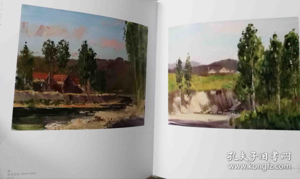 刘悦油画风景/表现(当代美术家代表作品全集)火凤凰画册