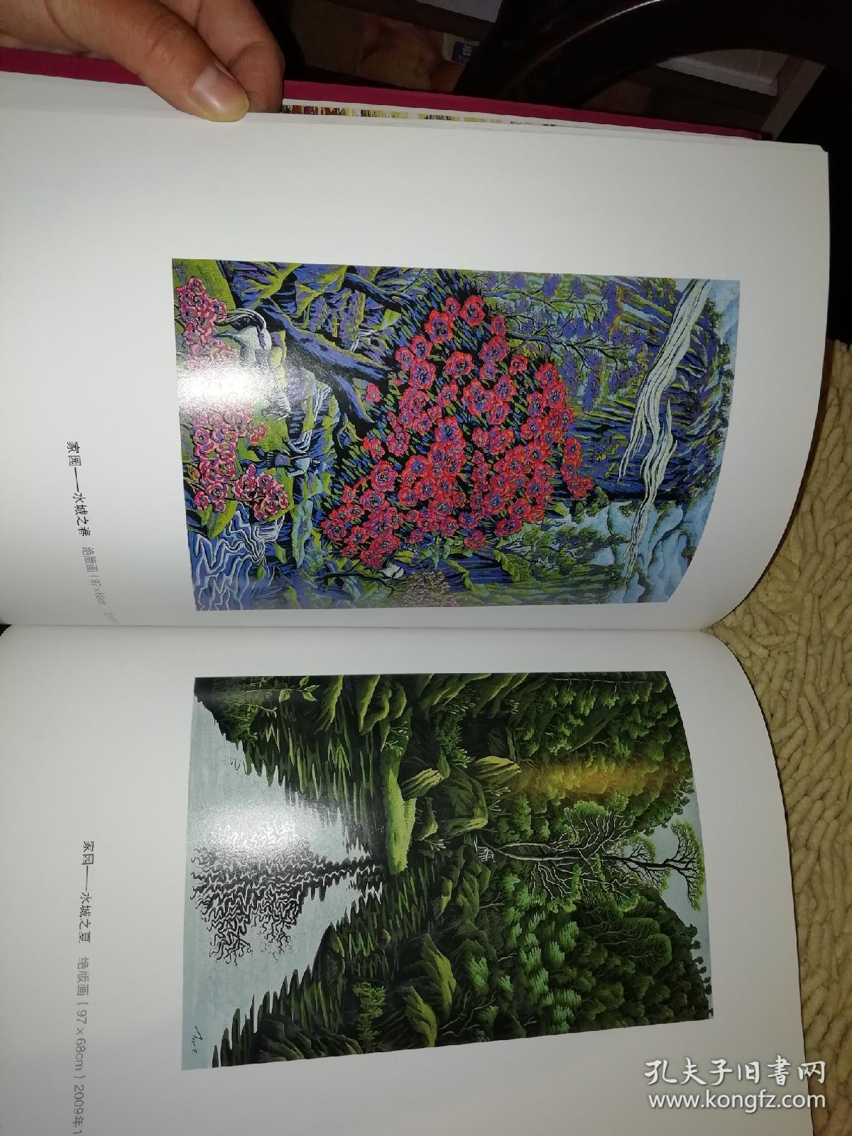 盛莉芸版画作品2011年一版一印原版书籍铜版纸彩色精美印刷内附作者
