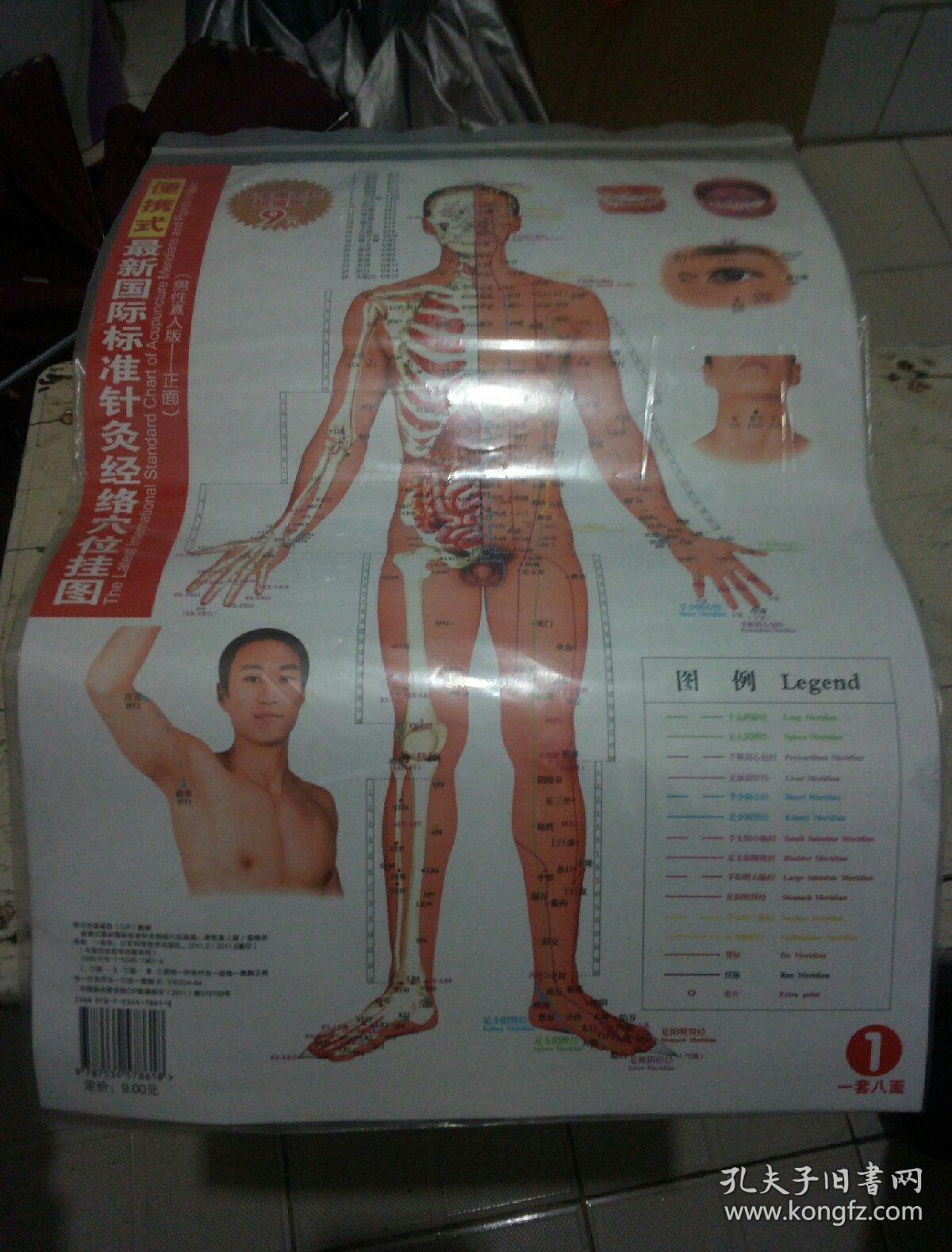 便携式最新国际标准针灸经络穴位挂图(男性真人版)防水撕不烂/一套