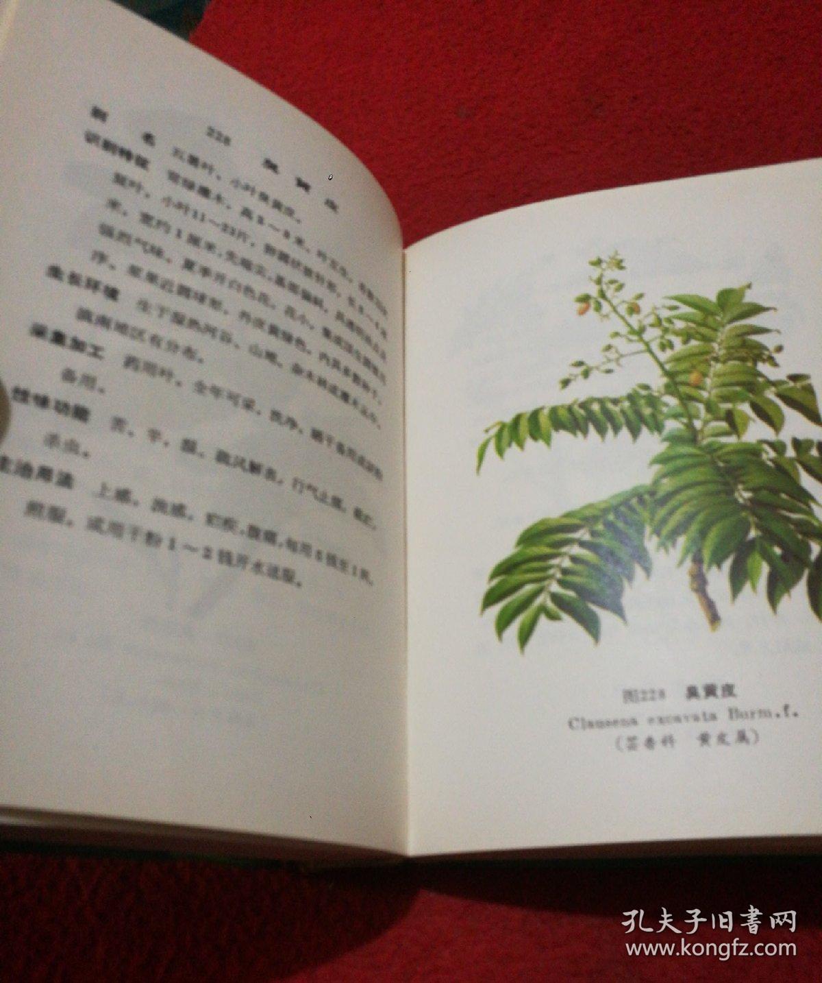 云南中草药选