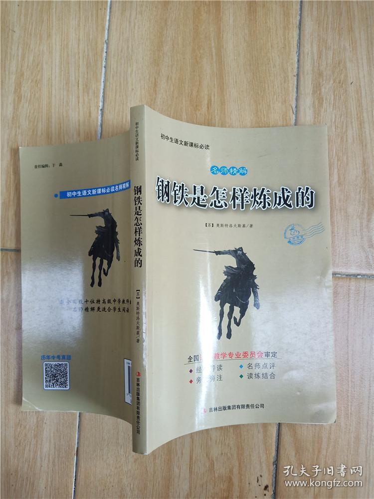 钢铁是怎样炼成的.【灰色封面】