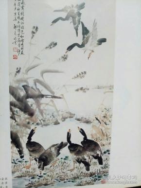 画页-芦雁图 郑克 明,戏鸟图-周之林70