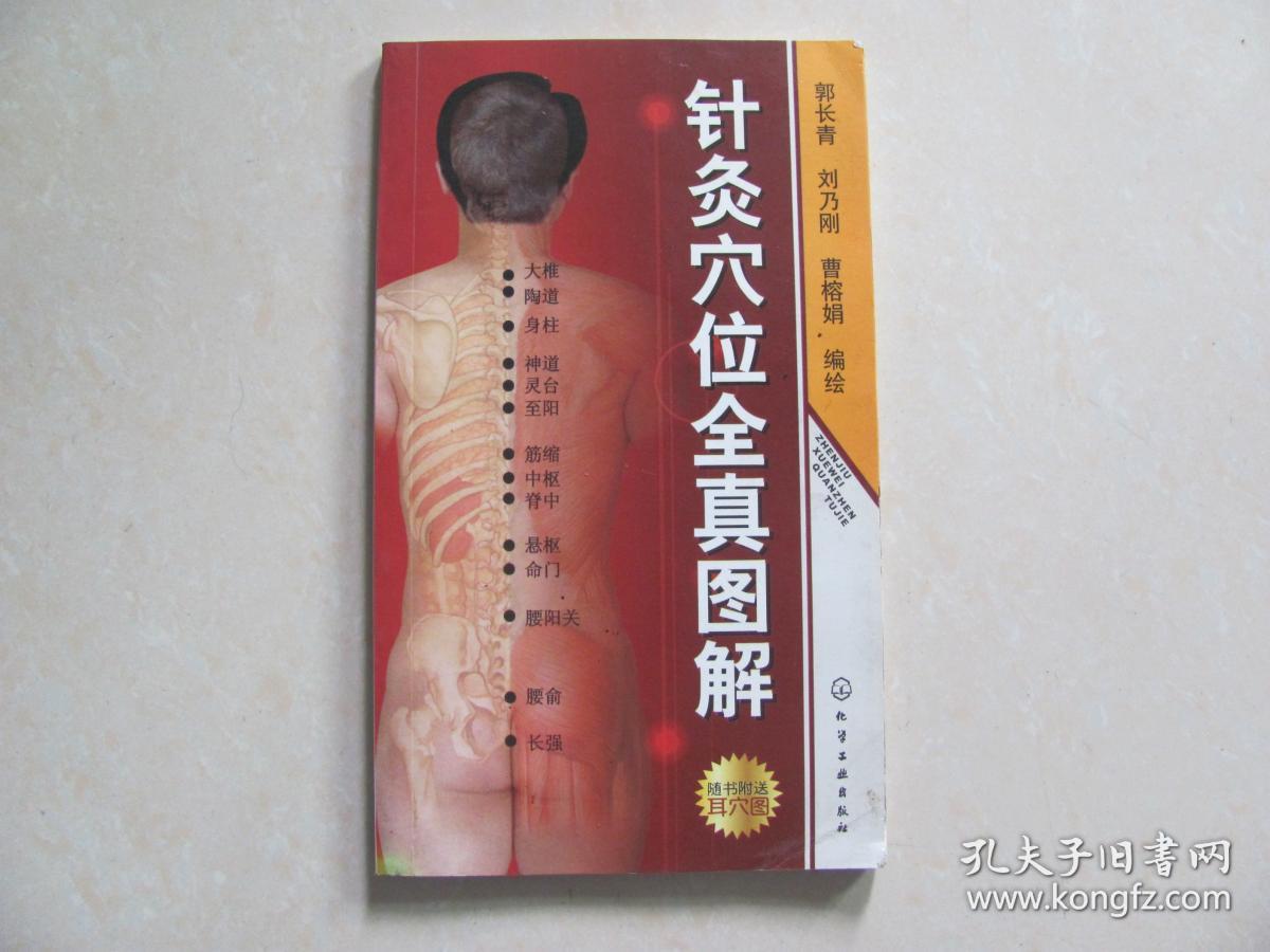 针灸穴位全真图解