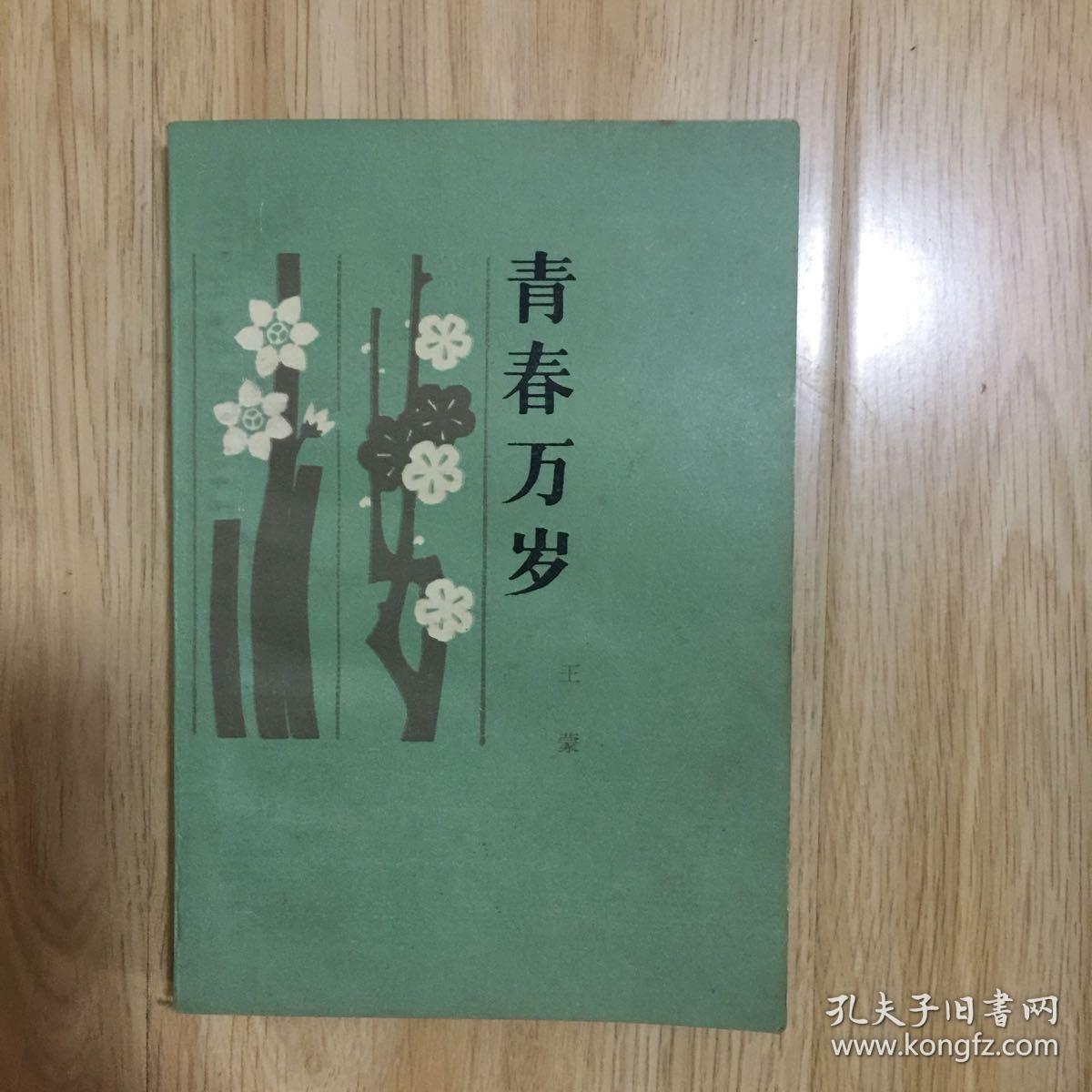 青春万岁
