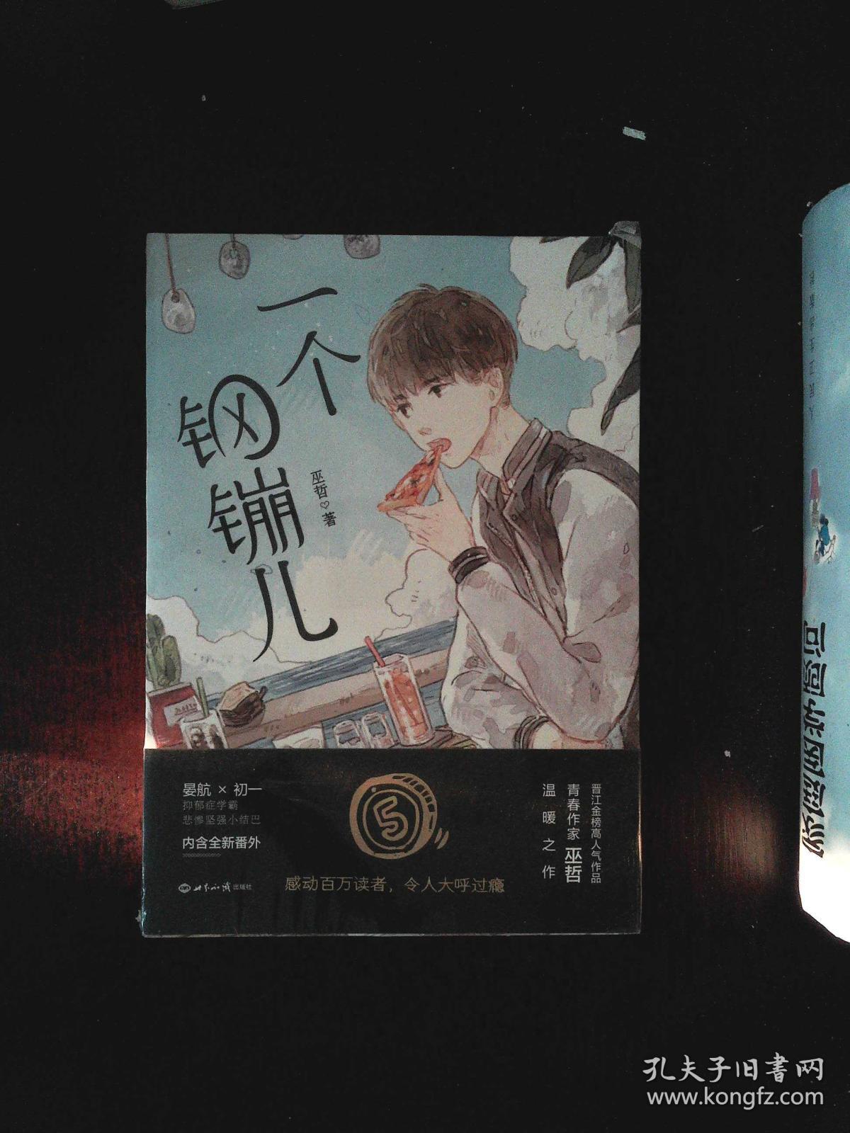 一个钢镚儿(巫哲)_简介_价格_文学书籍_孔网