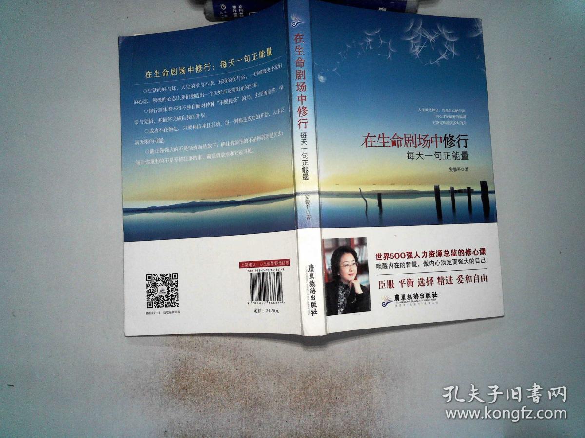 在生命剧场中修行每天一句正能量世界500强人力资源总监的修心课唤醒