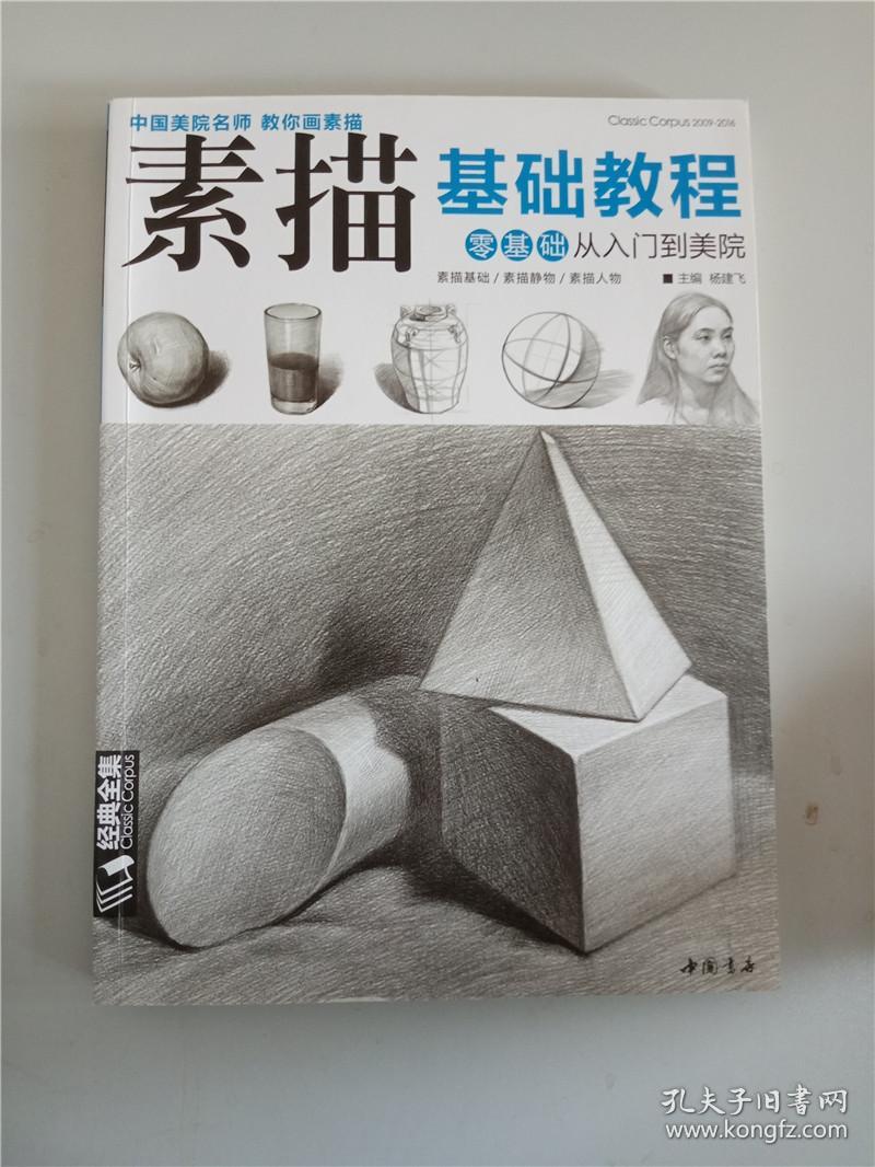 素描基础教程 : 零基础从入门到美院