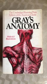 Grays Anatomy  美国原正版
