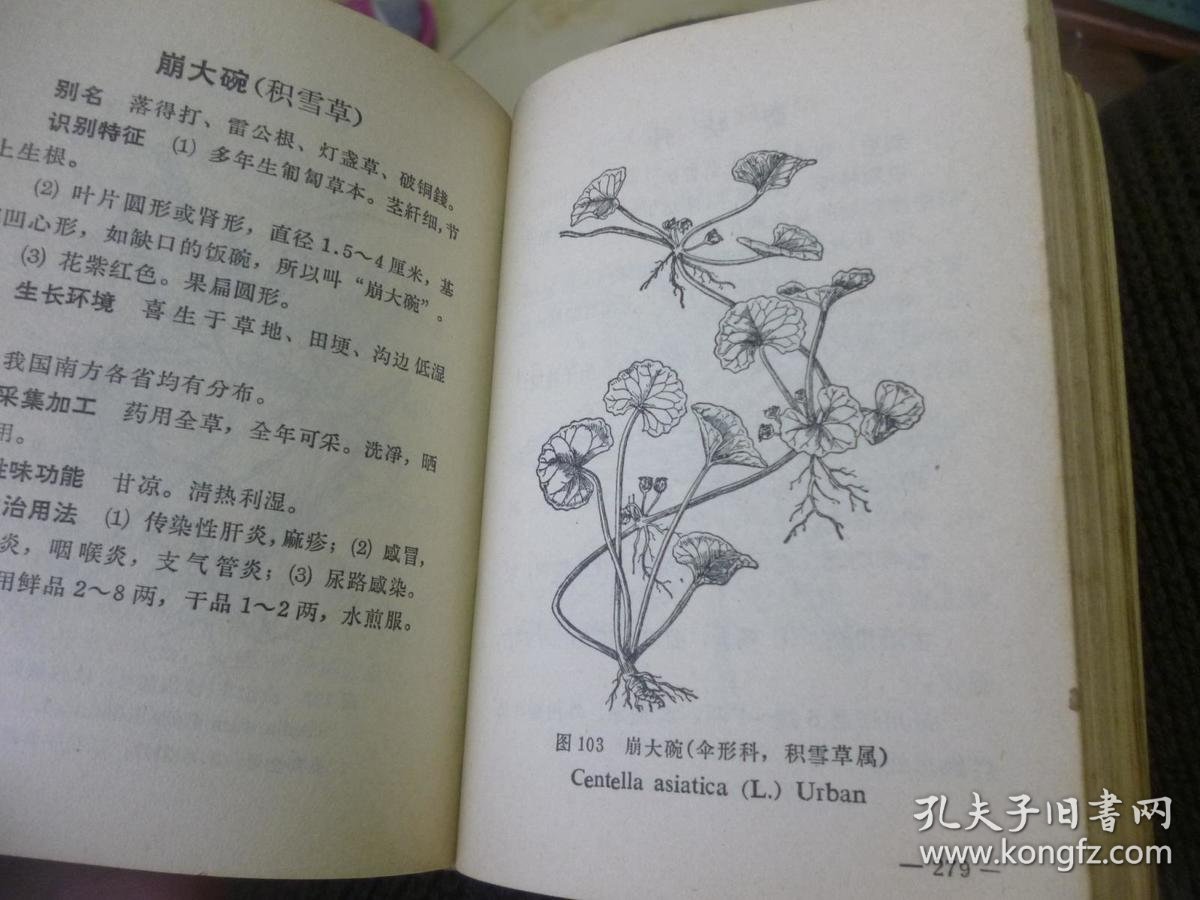 常用中草药手册【塑皮软精装 文革医书 69年一版一印】