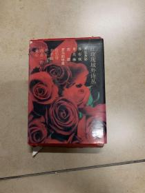 红玫瑰域外诗丛 5册全 带函套