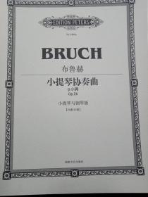 布鲁赫g小调协奏曲谱例分析_布鲁赫小提琴协奏曲(3)