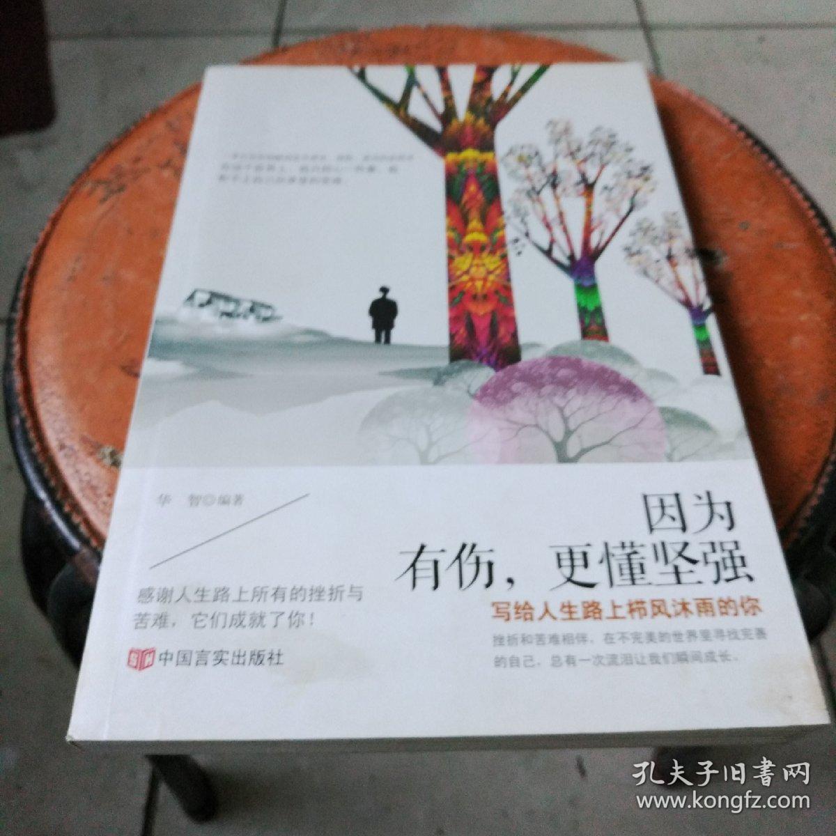 《因为有伤 更懂坚强:在不完美的世界里寻找完善的自己,总有一次
