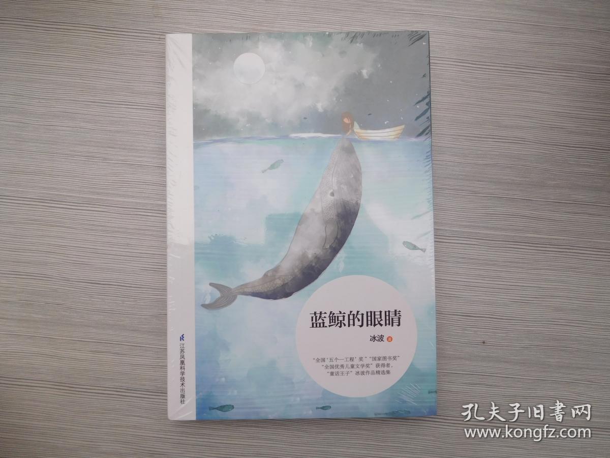 蓝鲸的眼睛