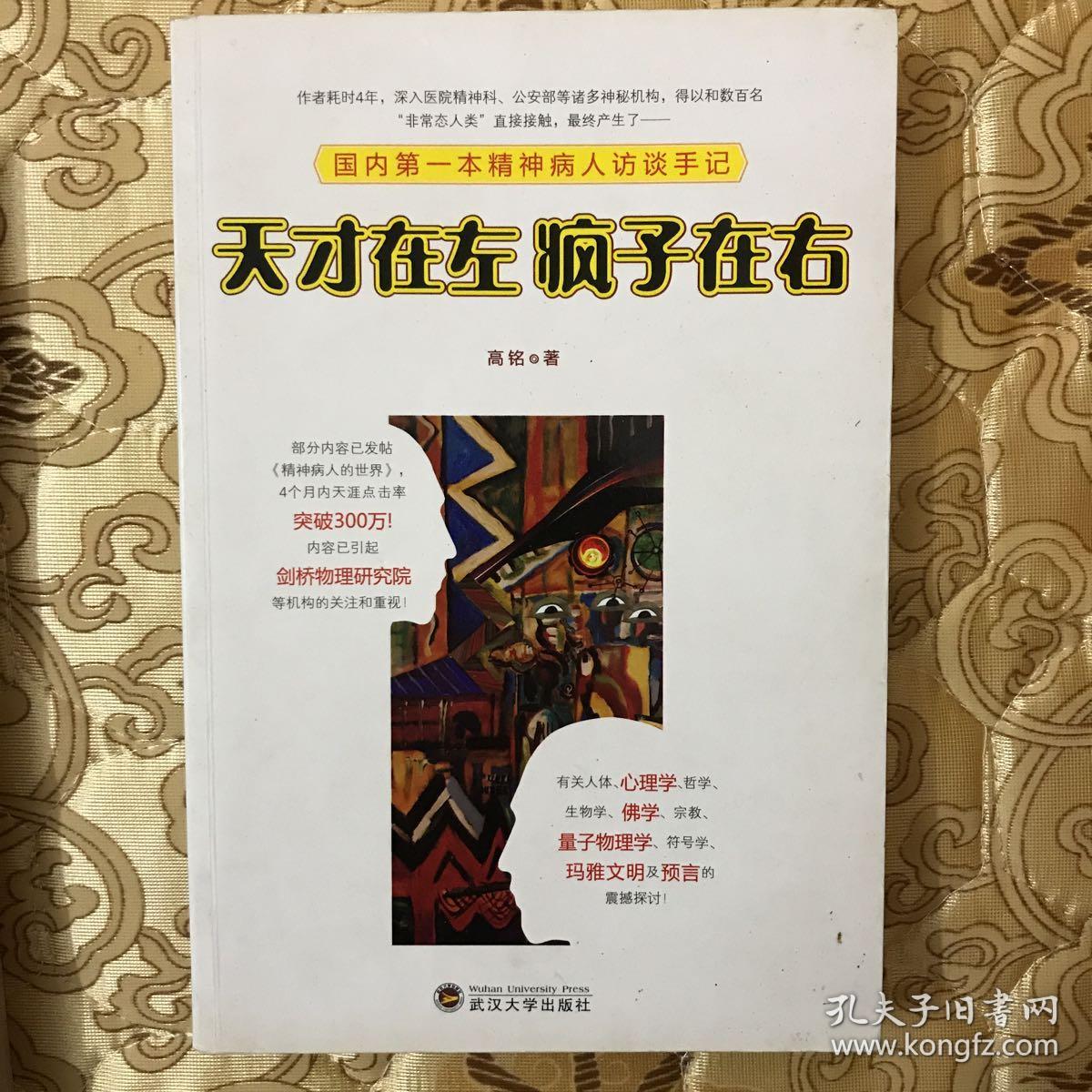 天才在左 疯子在右:国内第一本精神病人访谈手记
