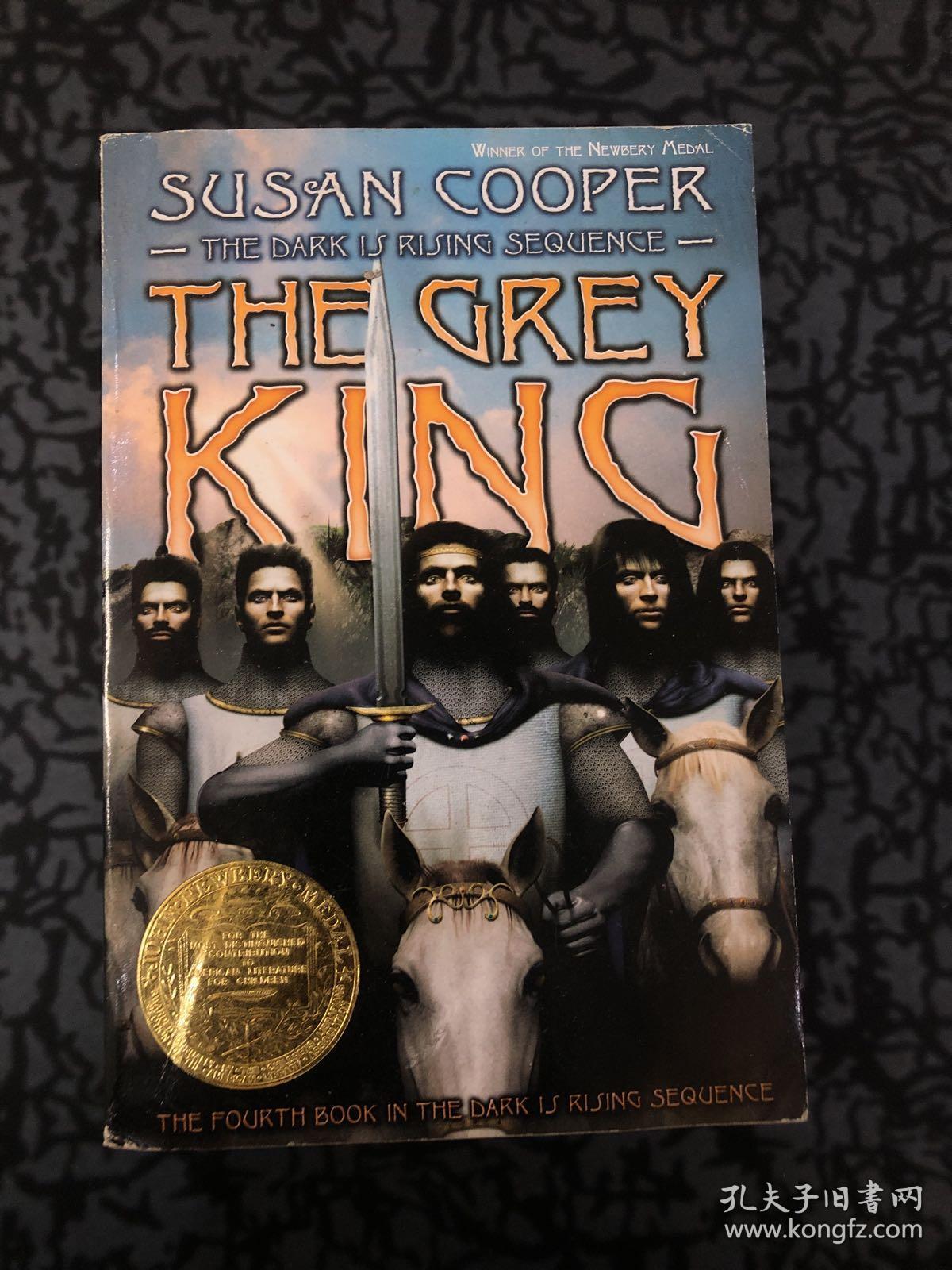 the grey king 无名勇士:黑暗崛起系列