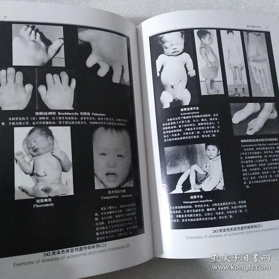 人类生殖调节图谱