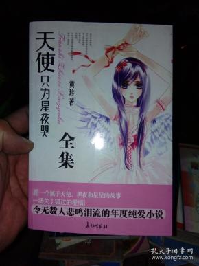 天使只为星夜哭