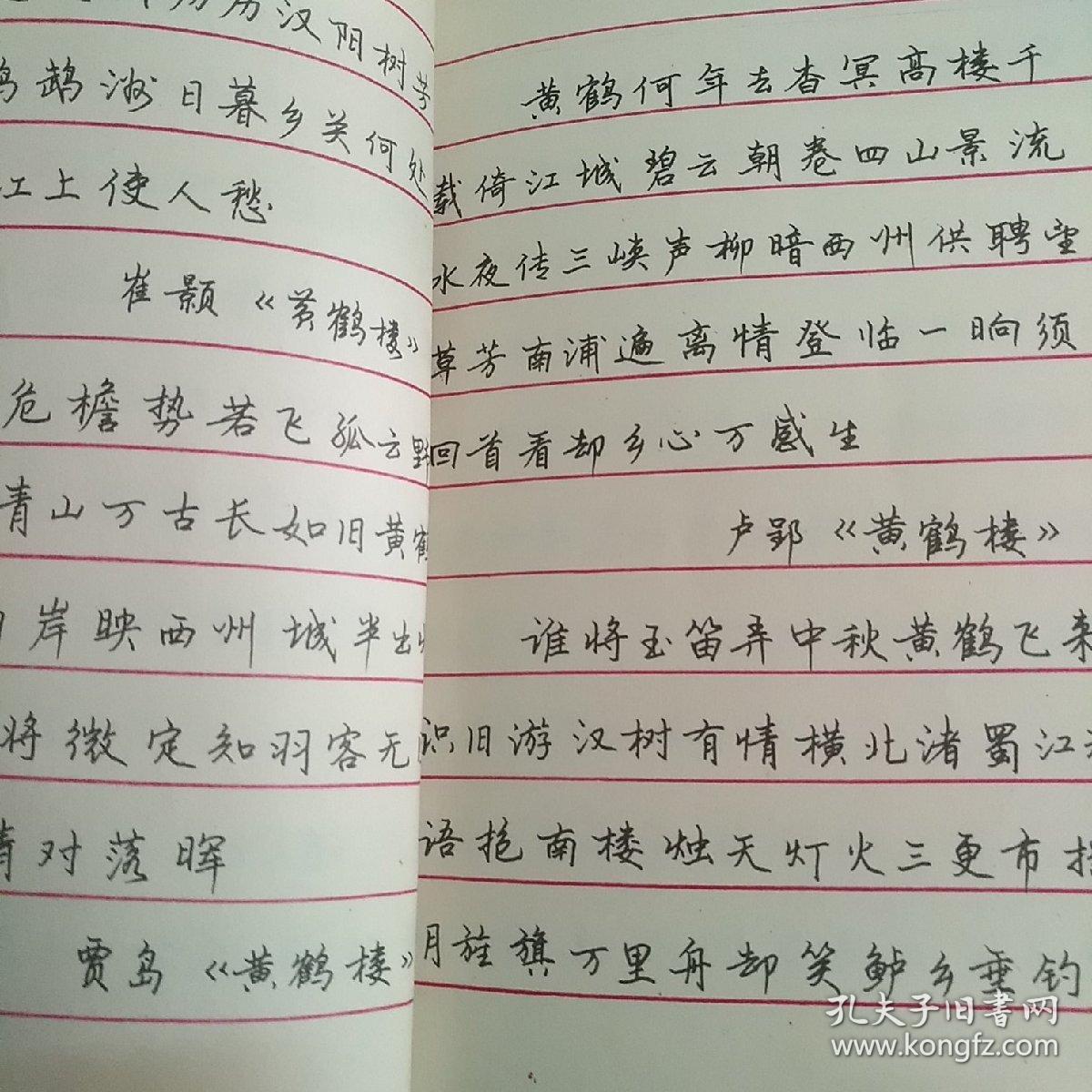 钢笔行书字帖(赵忱 书)