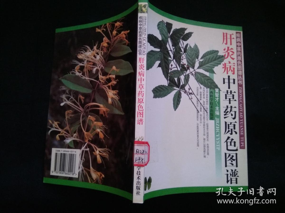 肝炎病中草药原色图谱——疾病中草药原色图谱丛书