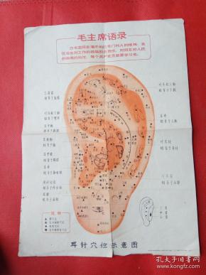 71条结果|耳针穴位示意图