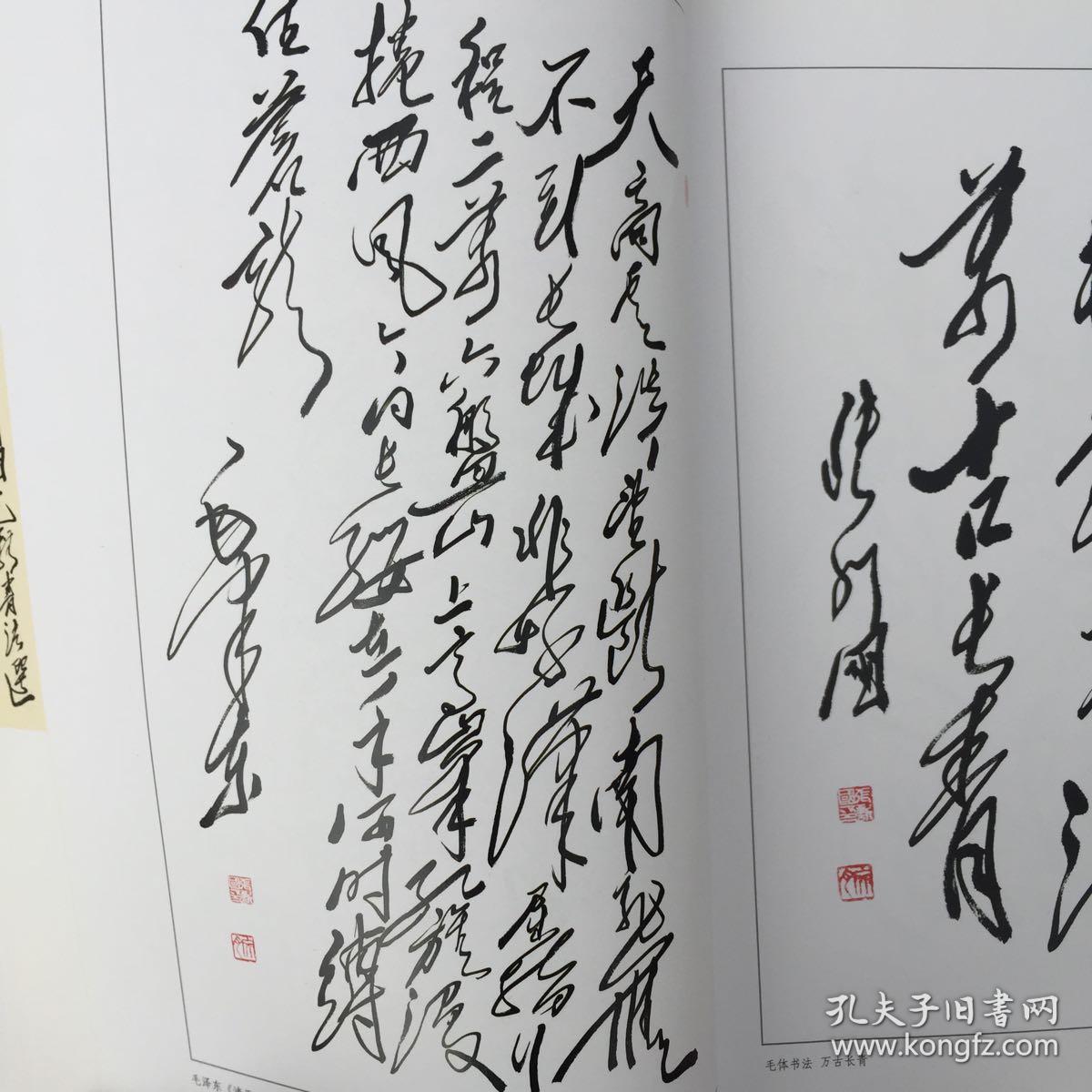 张新国毛体书法选