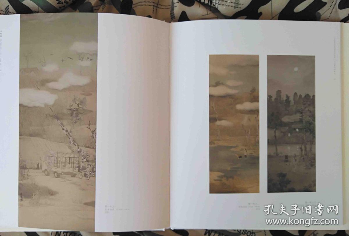 边凯中国画山水作品集(国画山水)画册,火凤凰