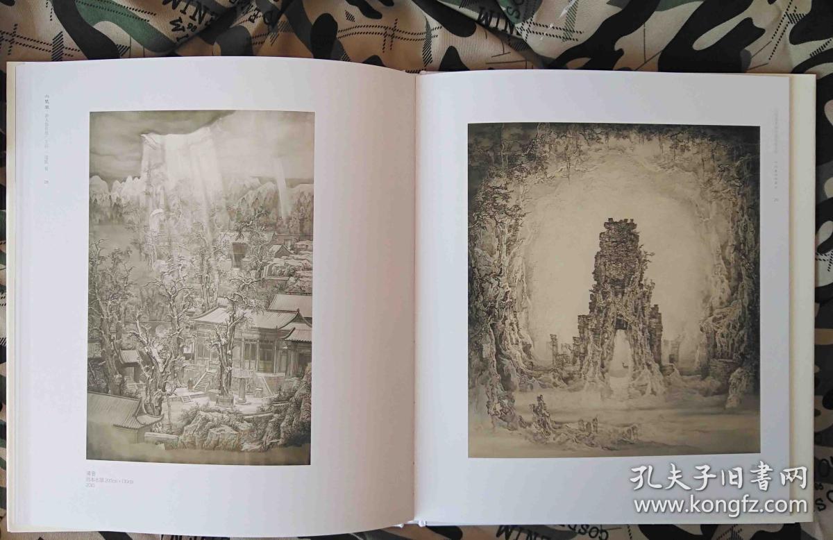 边凯中国画山水作品集(国画山水)画册,火凤凰