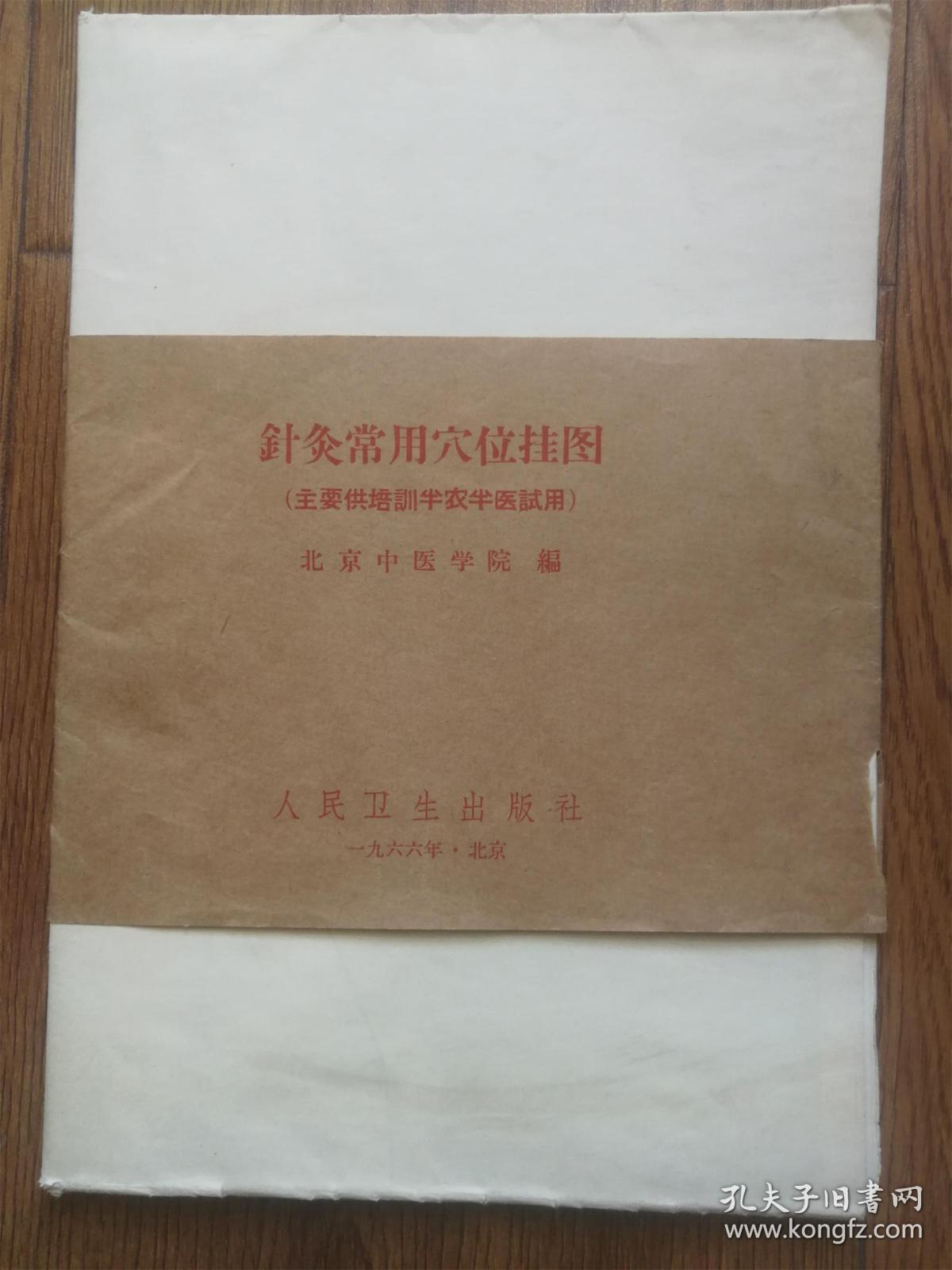 针灸常用穴位挂图