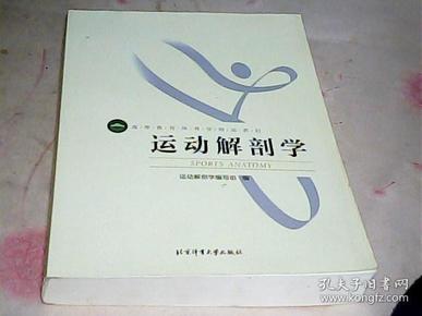 运动解剖学