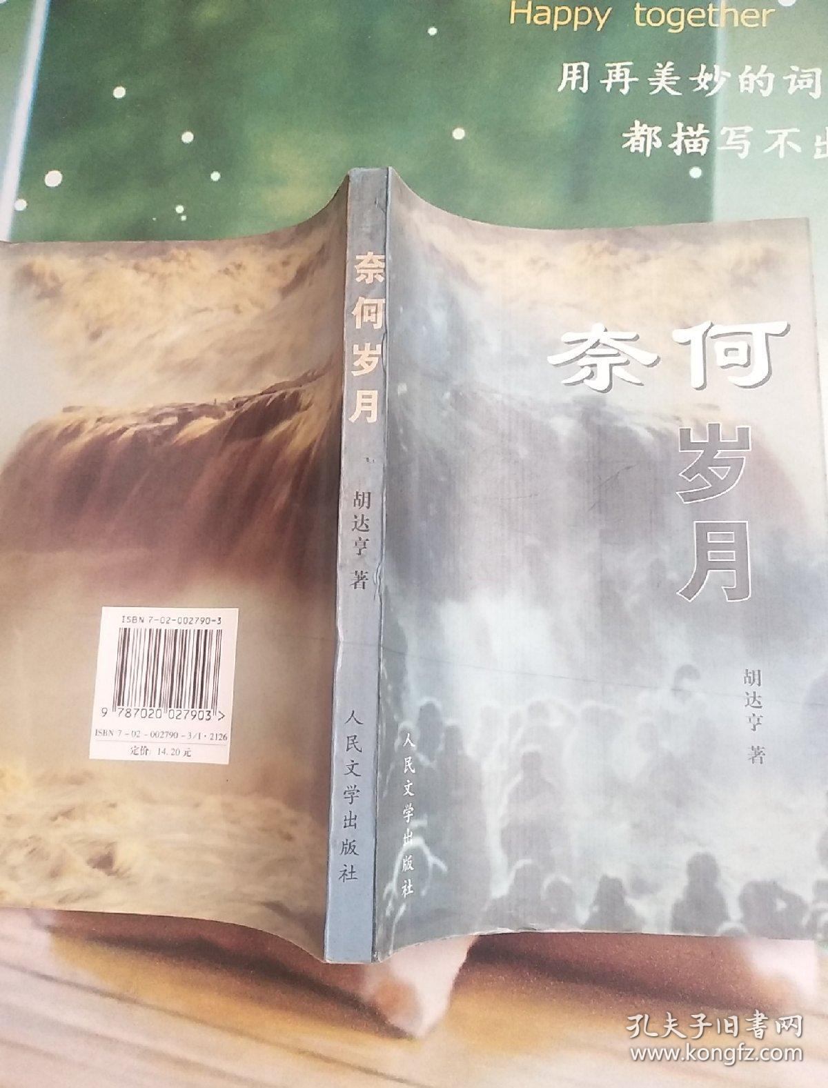 奈何岁月