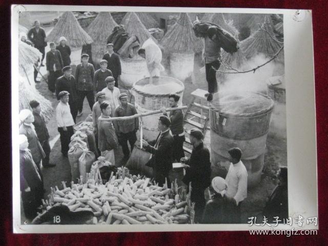 河北省易县狼牙山人民公社于家庄生产小队在大旱时期,粮食仍然达到丰