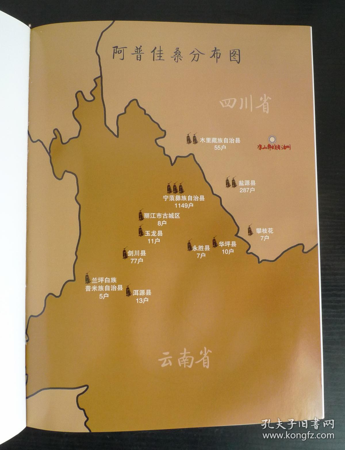 《阿普佳桑家谱》(杨氏彝族家谱) 少数民族家谱 彝文汉文对照
