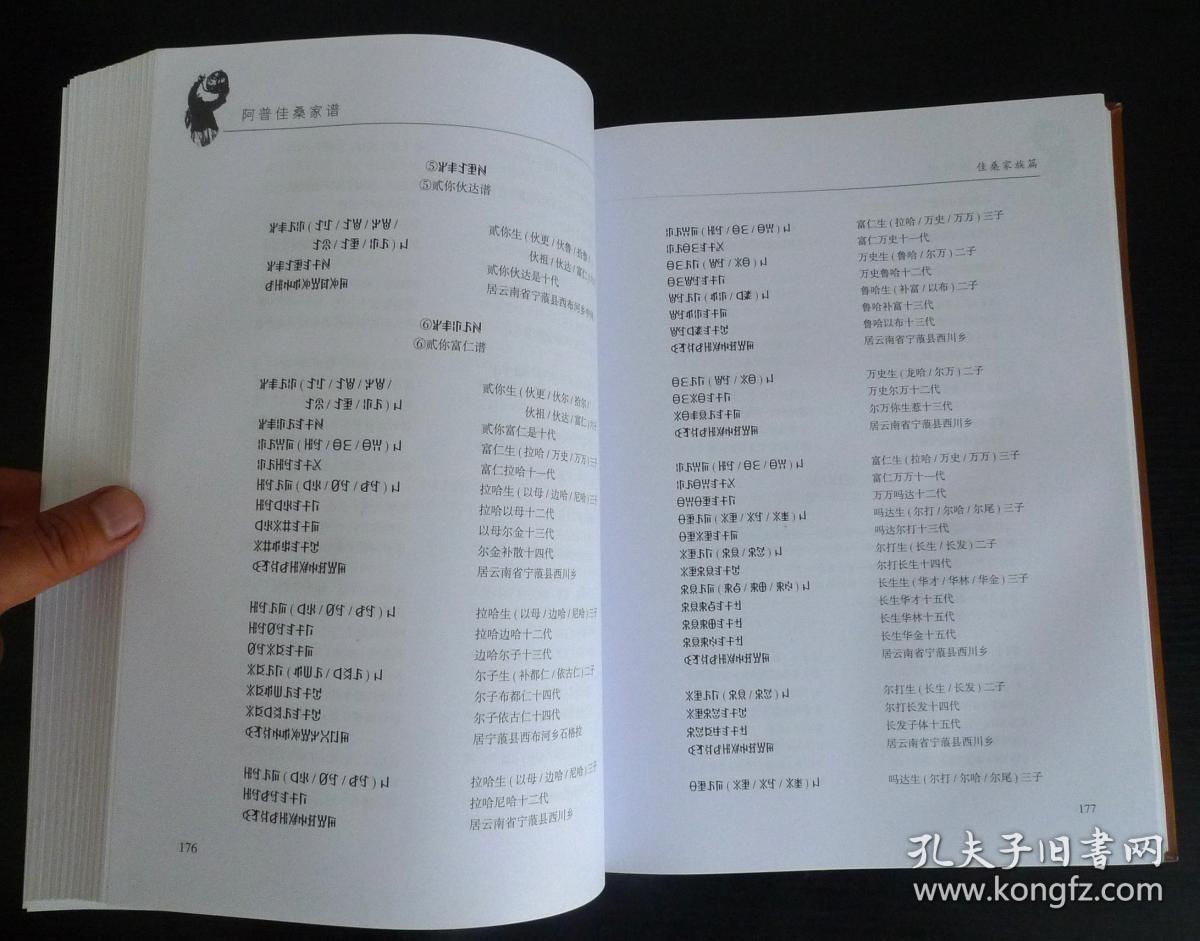 《阿普佳桑家谱》(杨氏彝族家谱) 少数民族家谱 彝文汉文对照