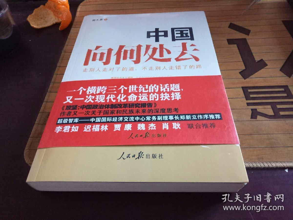 中国向何处去