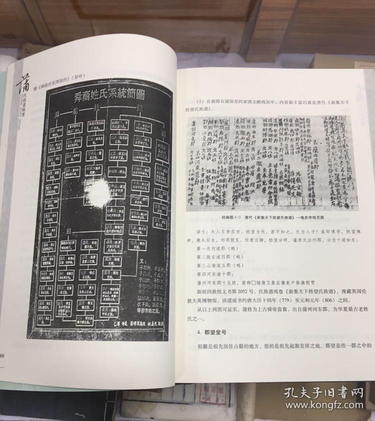 精装 厚642页 搜集清代和民国所修《蒲氏族谱》十余种,拍摄蒲氏家族
